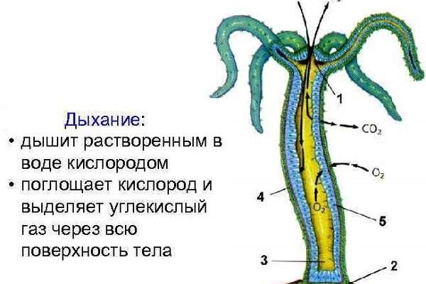 Маркет кракен маркетплейс