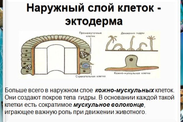 Kraken 19at