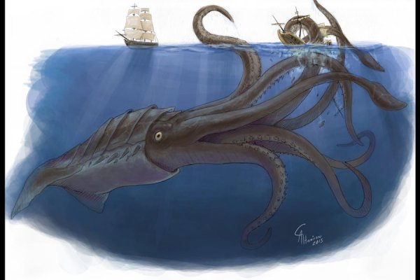 Kraken гидра